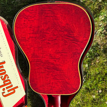 Load image into Gallery viewer, 1966 Gibson Dove