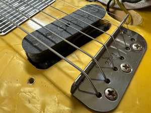Fender Lap Steel
